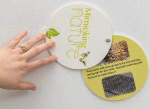 Students learn how common products were inspired by the brilliance of nature.